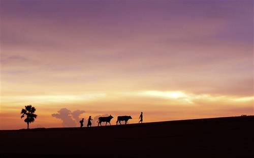 狮子林大假山导游词