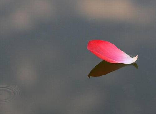 书面导游词有俩类