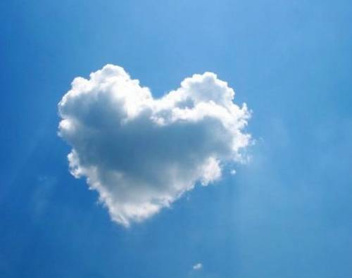 红叶谷导游词50字