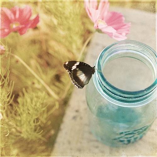 乌镇汇源当铺导游词