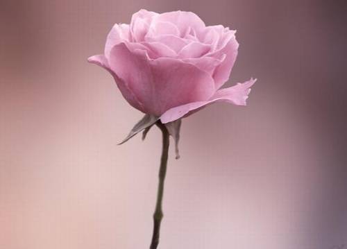 清远漂流的导游词