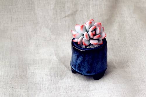 导游词幽默的开场白