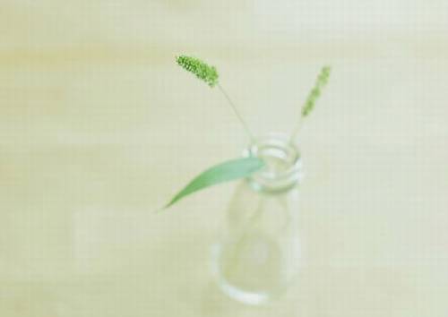 深圳小梅沙导游词