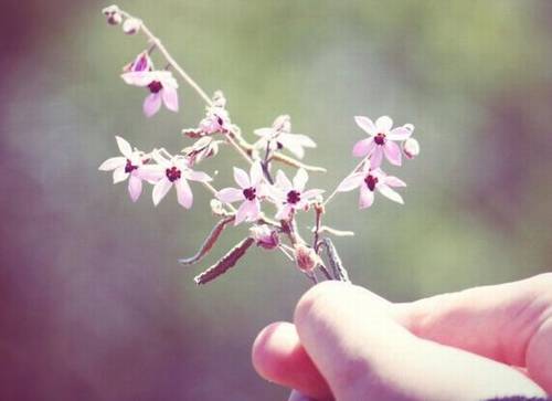 关于秋雨的古诗词