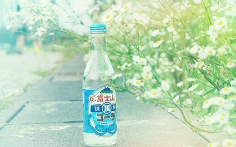 介绍家乡导游词四川