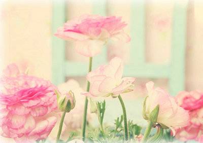 歌颂父亲的古诗词