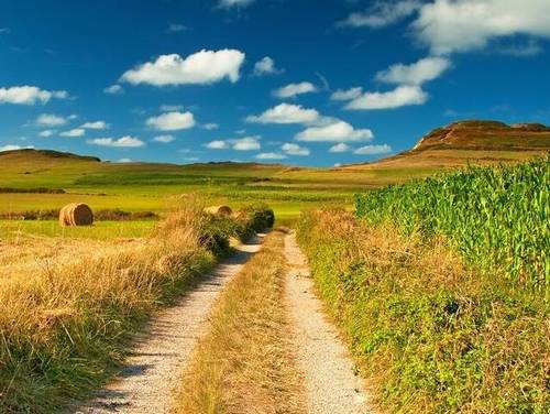 自古诗人多悲秋