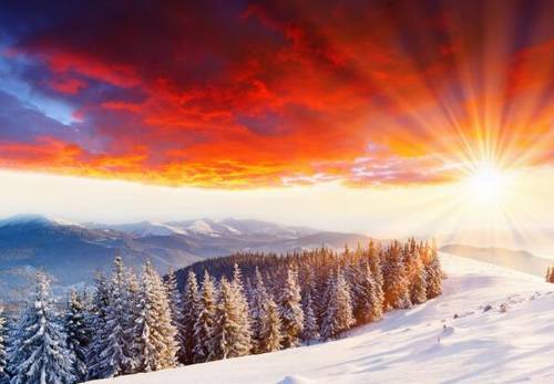 古诗书法作品欣赏