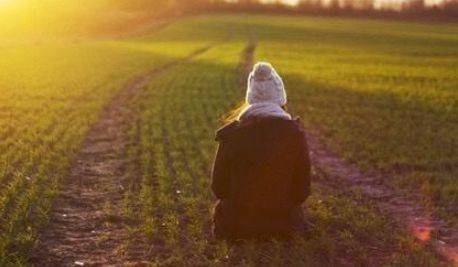 游览仙螺岛的导游词