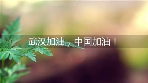 镇远现场导游词