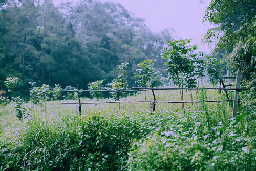 广东省导游词比赛