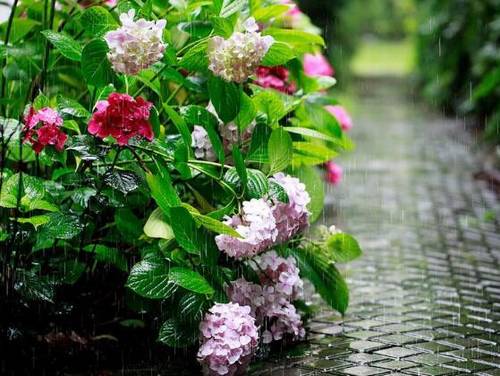 和丽水有关的导游词