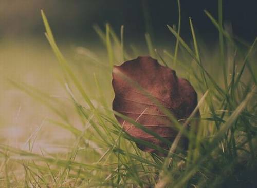 甘肃民俗导游词