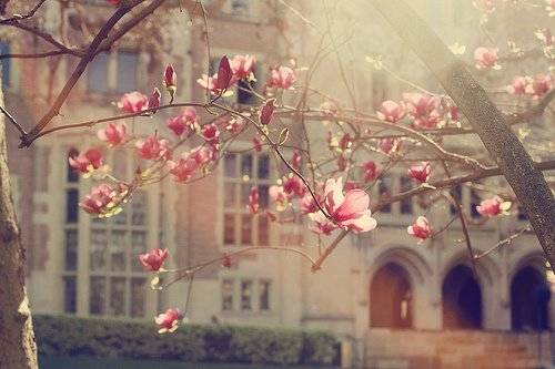 美丽温塘导游词