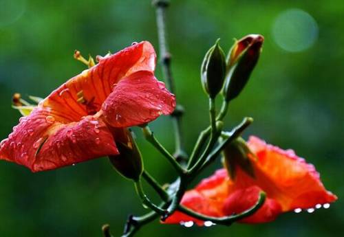 广西旅游概括导游词