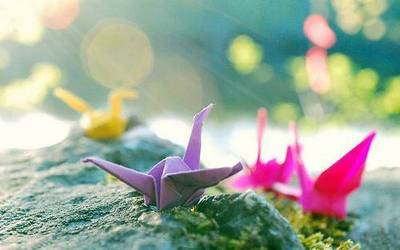 孔望山导游词结尾