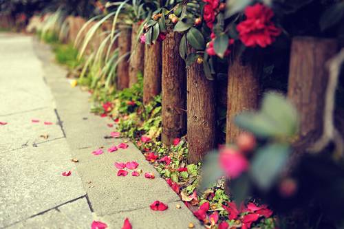 义乌海洋馆的导游词