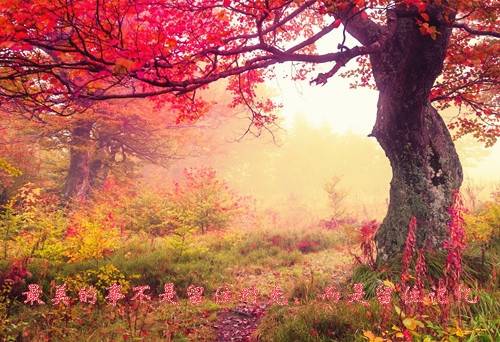 广府人家训馆导游词