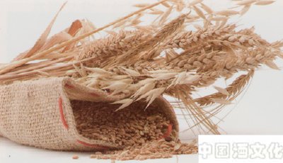 酿酒的主要原料由哪些_调制酿造