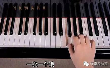 钢琴盲变身艺术大师