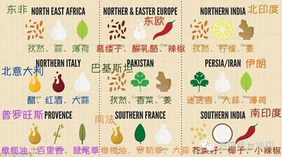 世界菜肴装逼指南 3种材料就能配出一国味道