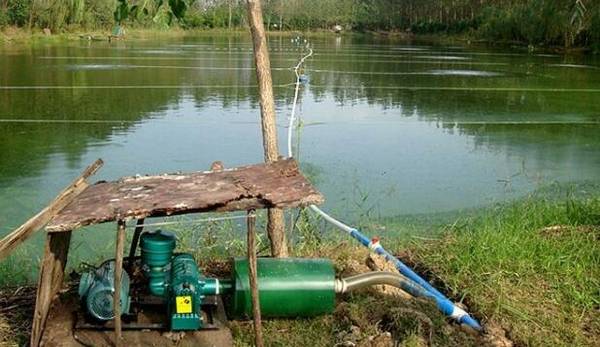 ˮСϺô׬Ǯץס㣬СϺ׬Ǯ_Ϻ