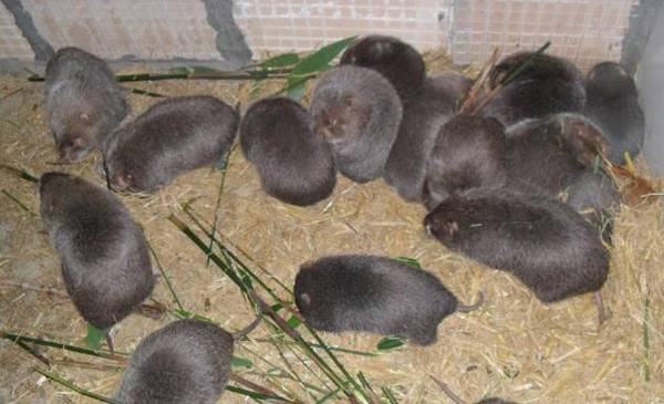 �����ë��ô�죬�뼰ʱ����ά����_������ֳ