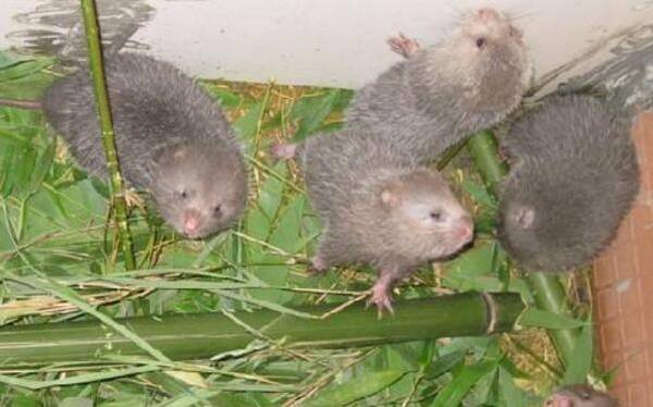 ��������ˮ�ĳ���ԭ�����_������ֳ