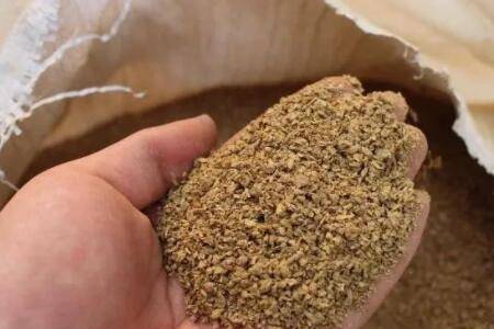 麦麸喂鸡有什么坏处_养鸡
