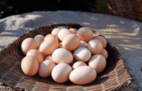 土鸡蛋与洋鸡蛋的适合人群_养鸡