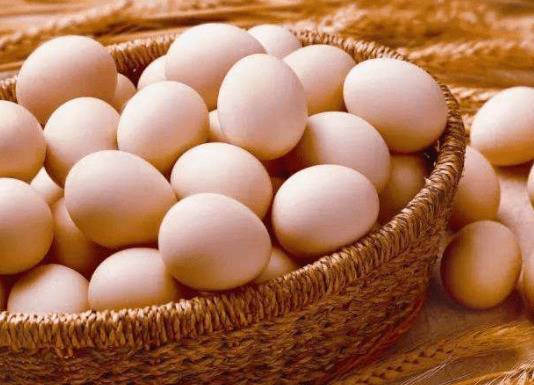 土鸡蛋与洋鸡蛋的区别_养鸡