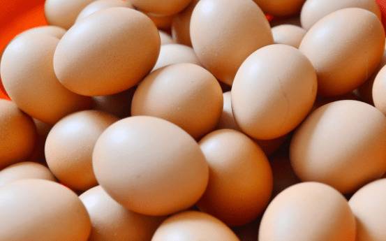 土鸡蛋与洋鸡蛋的区别_养鸡
