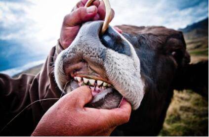 ţΪʲôûÓÐÉÏÑÀ_ÑøÖ³ÎÊ´ð