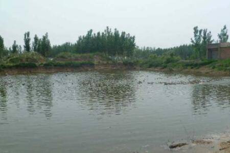 鱼塘防渗膜可以用多少年_养鱼