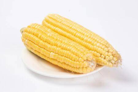 钓大鲤鱼用什么打窝,专攻大鲤鱼的饵料配方看一看_养鱼