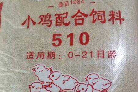 小鸡饲料怎么做钓鱼配方,鸡饲料打窝钓鱼效果怎么样_养鸡