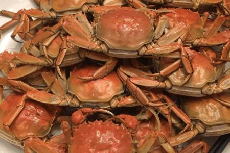 螃蟹壳能不能做成肥料_农药肥料