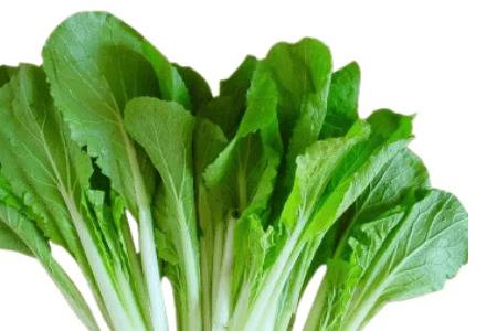小白菜种类有哪些_蔬菜种植