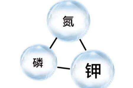 氮磷钾是哪种肥料_农药肥料