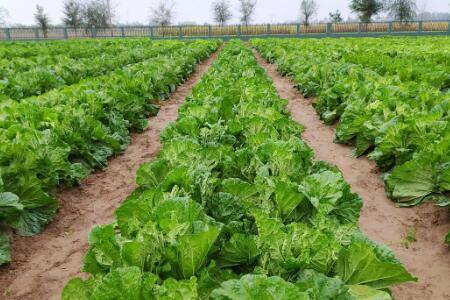 ײ˶೤ʱ佽һˮ_ֲ߲