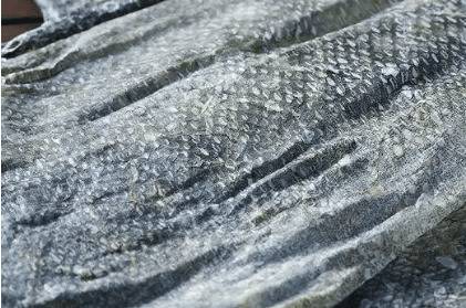 鳕鱼皮能不能吃_养鱼