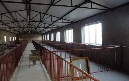 双排猪舍宽度为几米_养猪