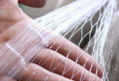 养鸡网标准高度是多少_养鸡