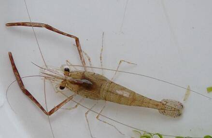 �Ժ�Ϻ�᲻�����_��Ϻ