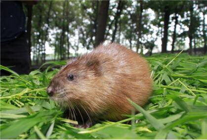 �����󱱷���������_��ֳ�ʴ�