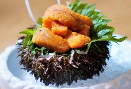 海胆不能与什么一起吃_养鱼