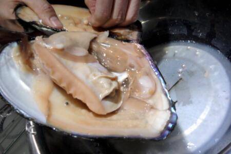 河蚌怎么宰杀_养蟹