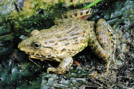 �������ж���_����