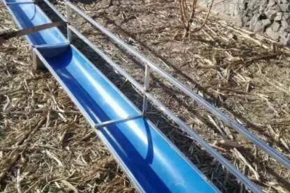 羊舍进食围栏尺寸多大为好?_养羊