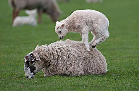 ĸ����û����ǣ�_����